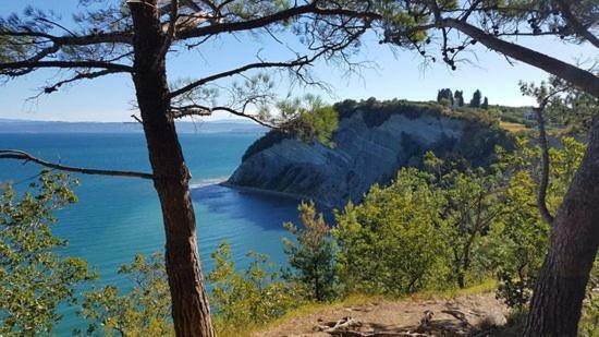 Amazing View Pirano Leilighet Eksteriør bilde